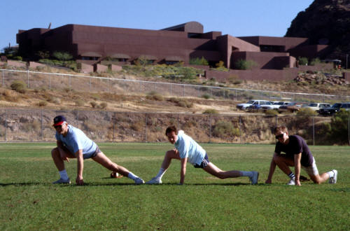 WOODPECKERS OLD Cart88_6890 (34)